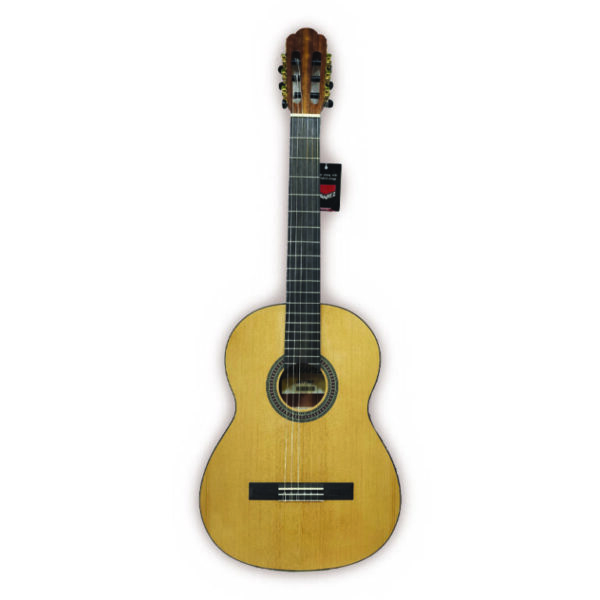 گیتار ساوارز